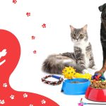10 Must-Have Pet Supplies for a Happy and Healthy Furry Friend