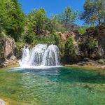 Popular Pet Toys In 2025 What Pet Owners Are Buying The Most