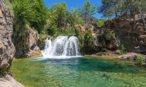 Popular Pet Toys In 2025 What Pet Owners Are Buying The Most Popular Pet Toys In 2025 What Pet Owners Are Buying The Most