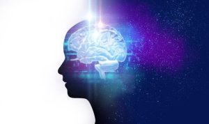 The Psychology Behind Grocery Purchases What Makes Consumers Click Buy Now The Psychology Behind Grocery Purchases What Makes Consumers Click Buy Now