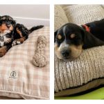 Tablet Buying Guide Which Model Gives The Best Value For Your Money