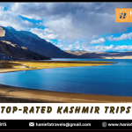 Top 15 Gadgets That Make Your Daily Life Easier In 2025