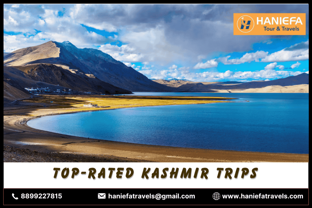 Top view tasty rice Stock Vector Images - Alamy Top view tasty rice Stock Vector Images - Alamy