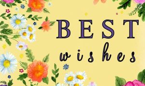 The Best Budget Laptops For Students And Professionals In 2025 The Best Budget Laptops For Students And Professionals In 2025