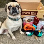 Comparing Online Marketplaces For Pet Supplies Amazon Vs Chewy Vs Petsmart