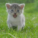 How To Start An Online Bookstore And Make It Profitable