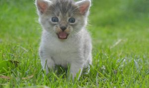 How To Start An Online Bookstore And Make It Profitable How To Start An Online Bookstore And Make It Profitable