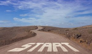 How To Start An Online Pet Supplies Business From Product Sourcing To Sales