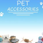 The Ultimate Guide to Thriving in the Pet Supplies Market