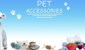 The Ultimate Guide to Thriving in the Pet Supplies Market The Ultimate Guide to Thriving in the Pet Supplies Market