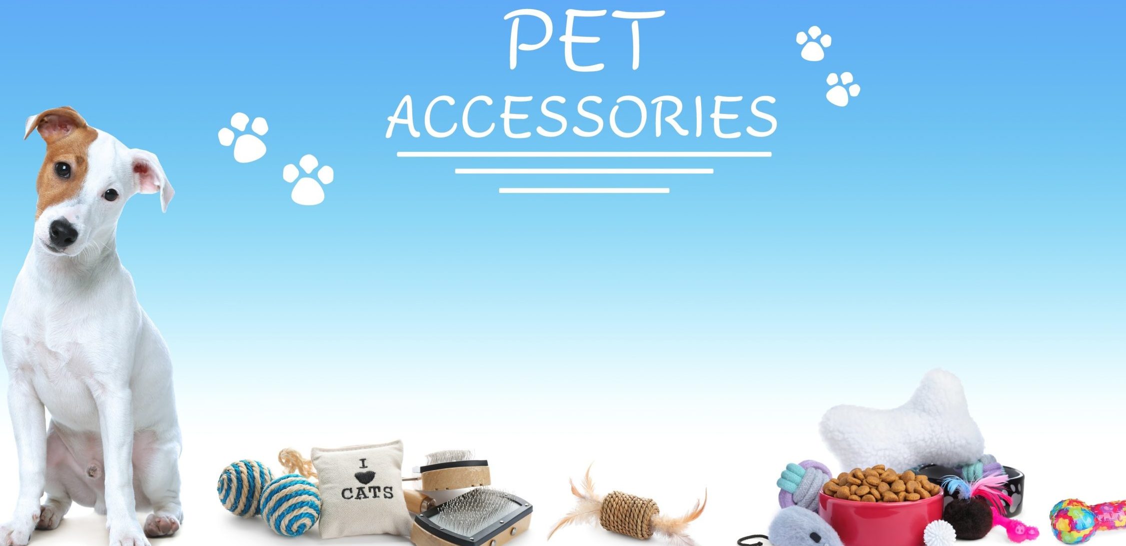 The Ultimate Guide to Thriving in the Pet Supplies Market The Ultimate Guide to Thriving in the Pet Supplies Market