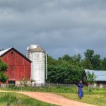 From Farm To Table How E-Commerce Is Reshaping Fresh Food Distribution