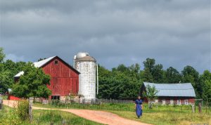 From Farm To Table How E-Commerce Is Reshaping Fresh Food Distribution