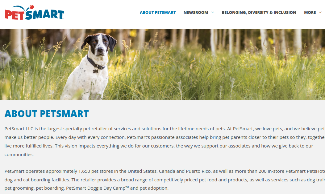 Best Online Stores to Buy Affordable Pet Supplies in 2025