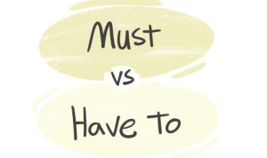 Must-Have Office Stationery Products and Where to Buy Them