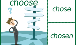 How to Choose Safe and High Quality Pet Supplies for Your Pets