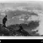 Top-Selling Pet Accessories and Where to Buy Them