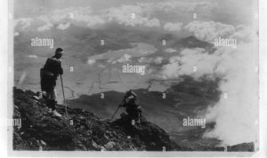 Top-Selling Pet Accessories and Where to Buy Them