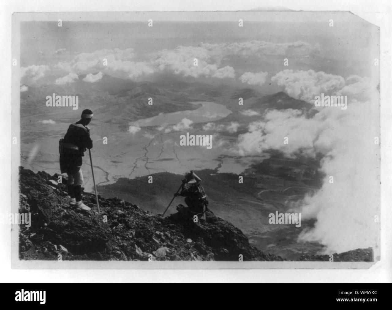 Top-Selling Pet Accessories and Where to Buy Them