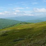 Top-Rated Gadget Stores to Buy Smartphones and Accessories Safely