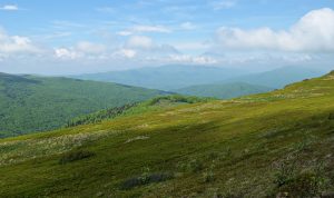 Top-Rated Gadget Stores to Buy Smartphones and Accessories Safely