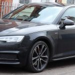 Automatic pet feeders shop USA for effortless feeding