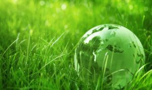 Eco friendly electronics for sale Discover Sustainable Options