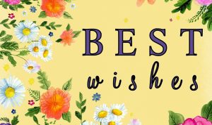 Best STEM toys for learning and fun