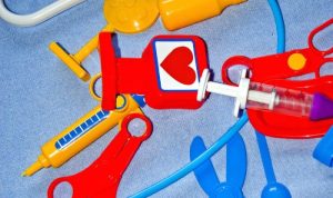 Order pet beds for dogs and cats that guarantee comfort