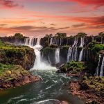 Most popular frozen food brands in the US Revealed