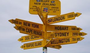 New arrival dresses womens fashion US trends and styles