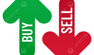 Buy cruelty free makeup brands online US with ease Buy cruelty free makeup brands online US with ease