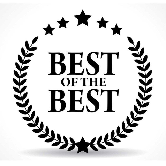 Best Order Online Sushi Restaurant In Matoda 2025 Best wireless chargers for iPhone