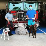 Cheap dog toys free shipping that your pup will love