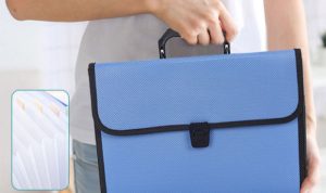 Globe-Weis Expanding Accordion File Organizer for Effortless Organization Globe-Weis Expanding Accordion File Organizer for Effortless Organization