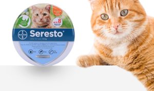 Seresto Flea and Tick Collar for Cats Long Lasting Protection Guide Seresto Flea and Tick Collar for Cats Long Lasting Protection Guide
