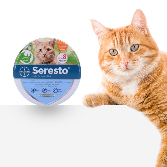 Seresto Flea and Tick Collar for Cats Long Lasting Protection Guide