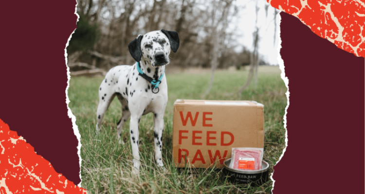 Pet Food Delivery Service Near Me Convenience Redefined