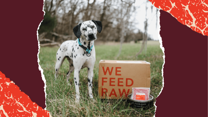 10 Ways to Save Big on Pet Food Delivery Services + Get Free Shipping Pet food delivery service near me