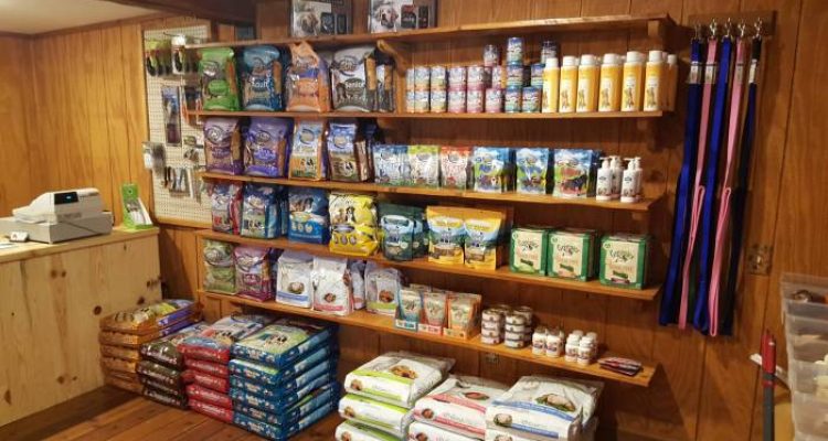 pet food companies near me – Discover Quality Choices