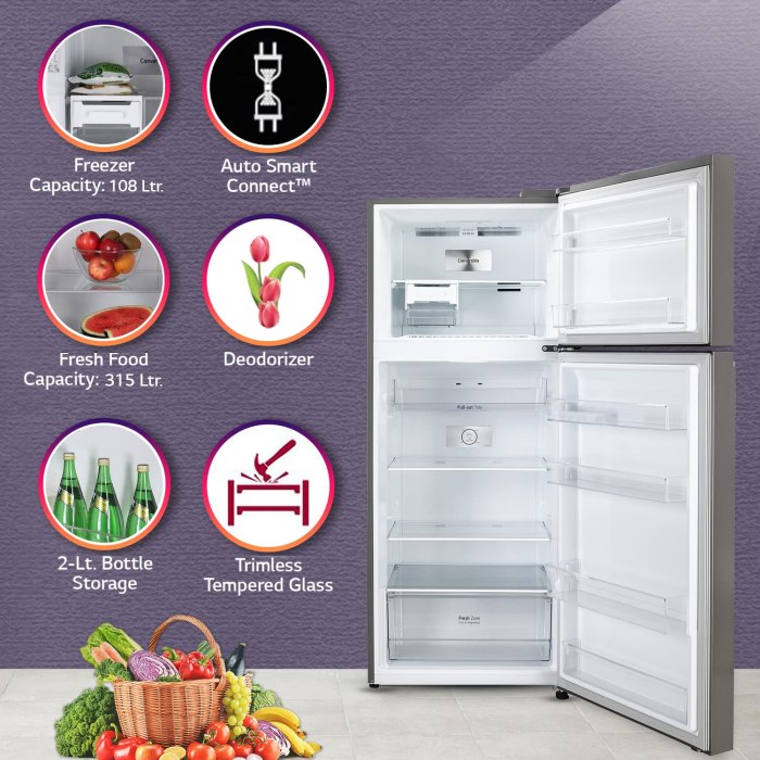 LG Smart Inverter Double Door Refrigerator with Energy Saving Technology