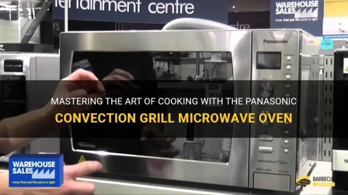 Mastering The Art Of Cooking With The Panasonic Convection Grill ... Panasonic Convection Microwave Oven with Grill Function