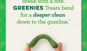 Greenies Original Dental Treats for Dogs Oral Care Benefits