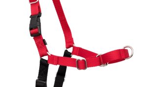PetSafe Easy Walk Dog Harness No Pull Training Guide