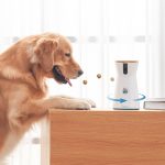 Furbo 360 Degree Dog Camera Treat Dispenser Full Review