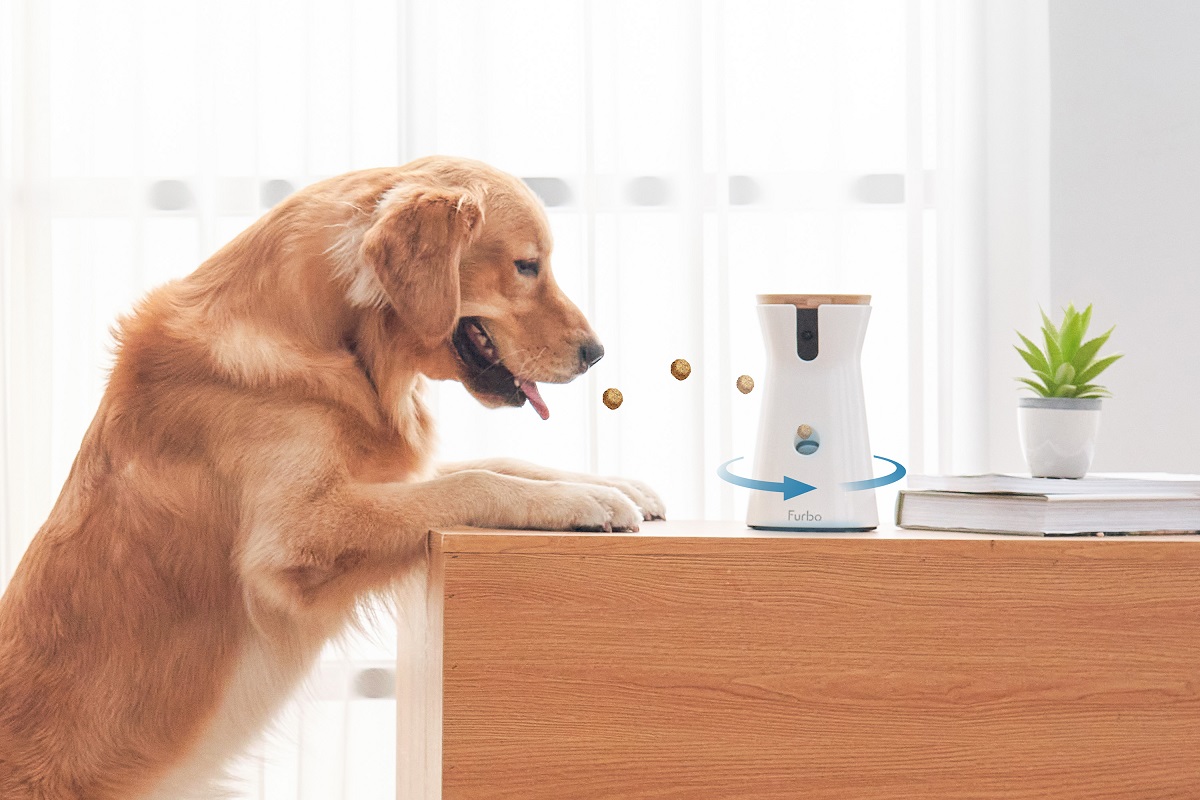 Furbo 360 Degree Dog Camera Treat Dispenser Full Review