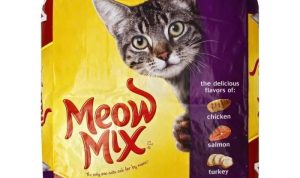 Meow Mix Original Choice Dry Cat Food Budget Friendly Option Meow Mix Original Choice Dry Cat Food Budget Friendly Option