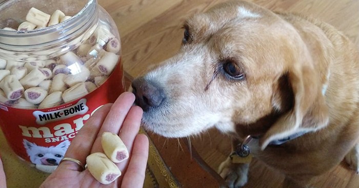 Transformers Optimus Prime Action Figure by Hasbro