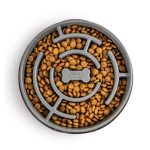 Outward Hound Fun Feeder Slow Bowl for Dogs Review