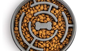 Outward Hound Fun Feeder Slow Bowl for Dogs Review